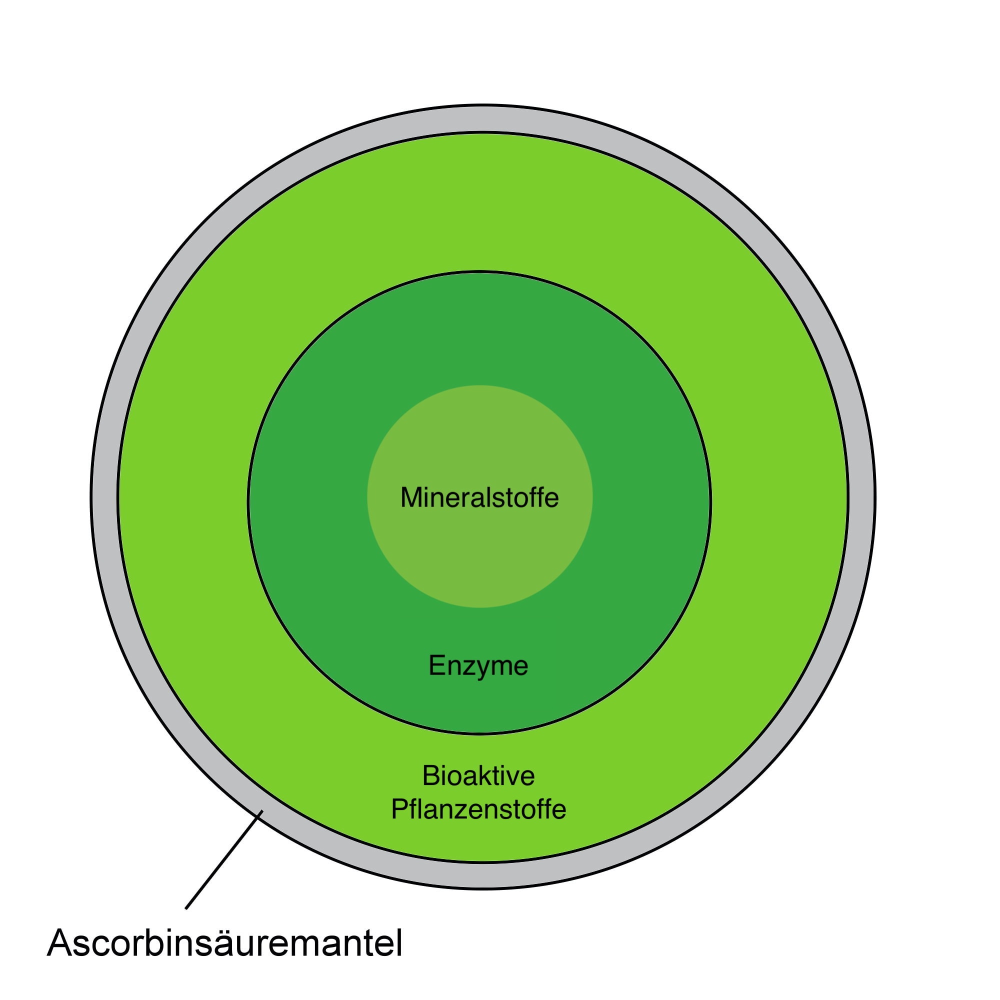 Vitamin C braucht Bioflavonoide und Enzyme